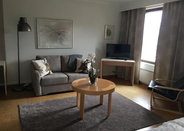 מלון Pellonhovi פלו